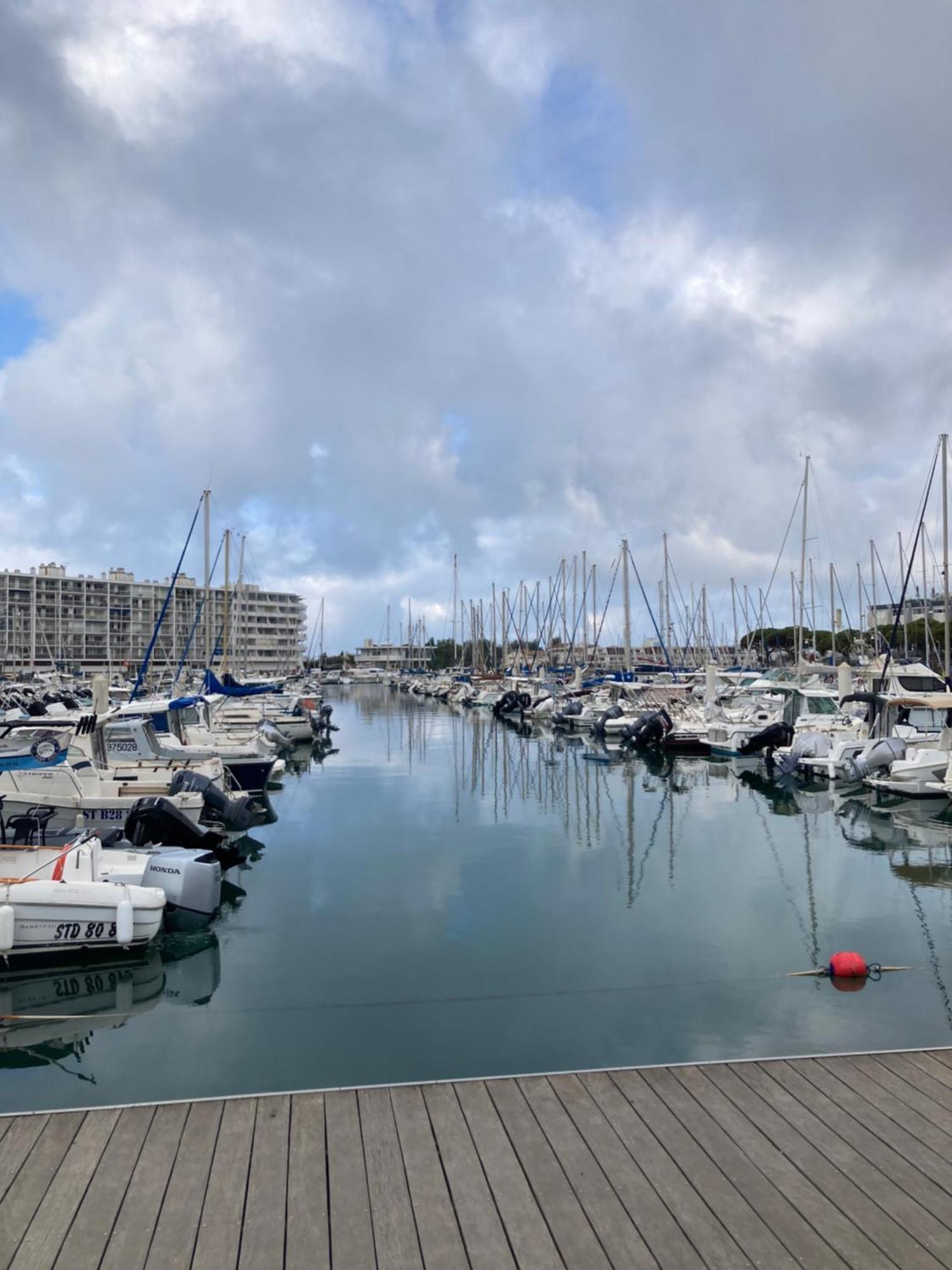 מוגויו Magnifique T2 Port De Carnon Avec Wifi - Mer A 400M מראה חיצוני תמונה